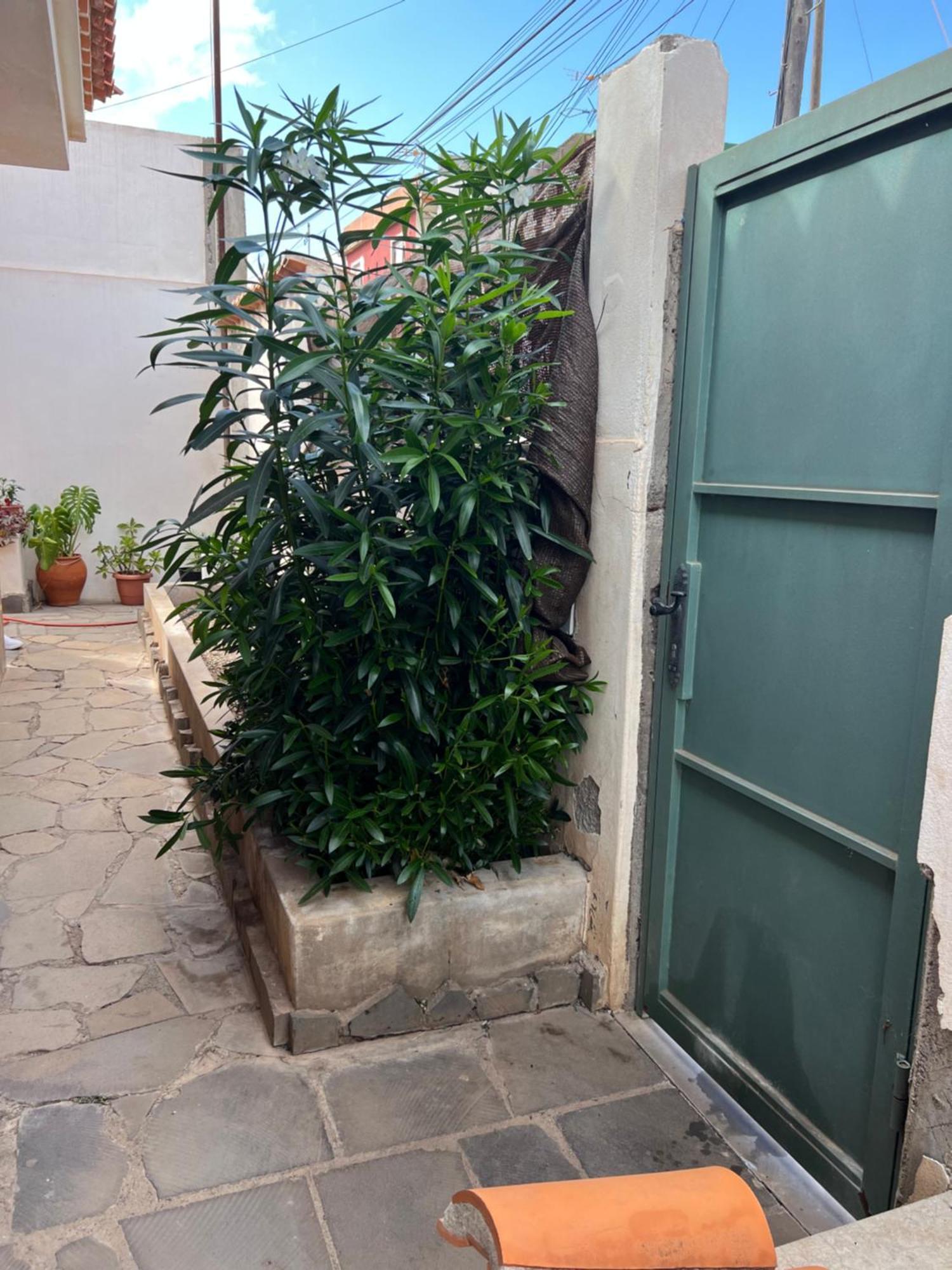 Atico Casa De Invitados Bluemoon Apartment San Cristóbal de La Laguna